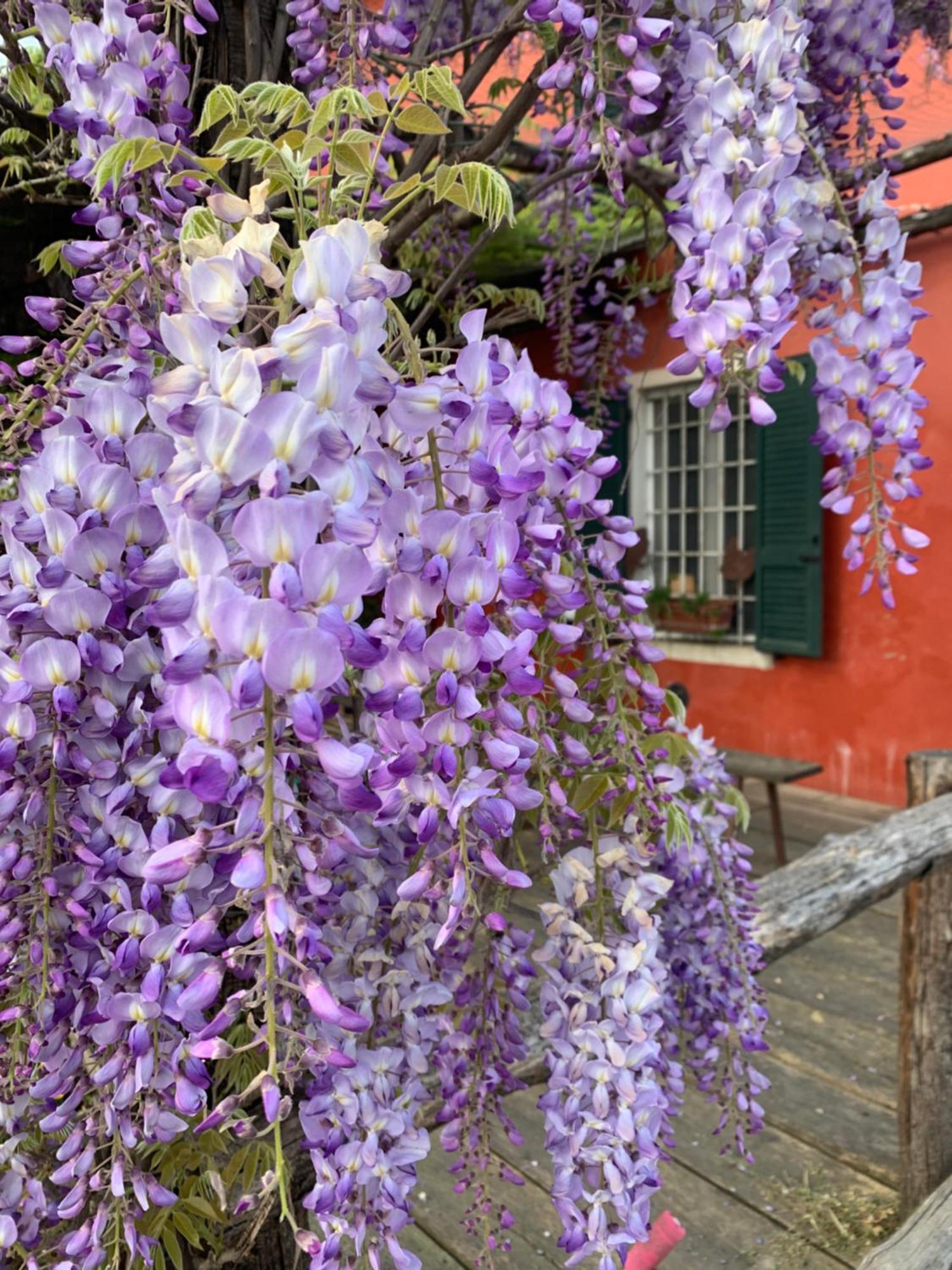 Santa Caterina  Fattoria Amelia 빌라 외부 사진
