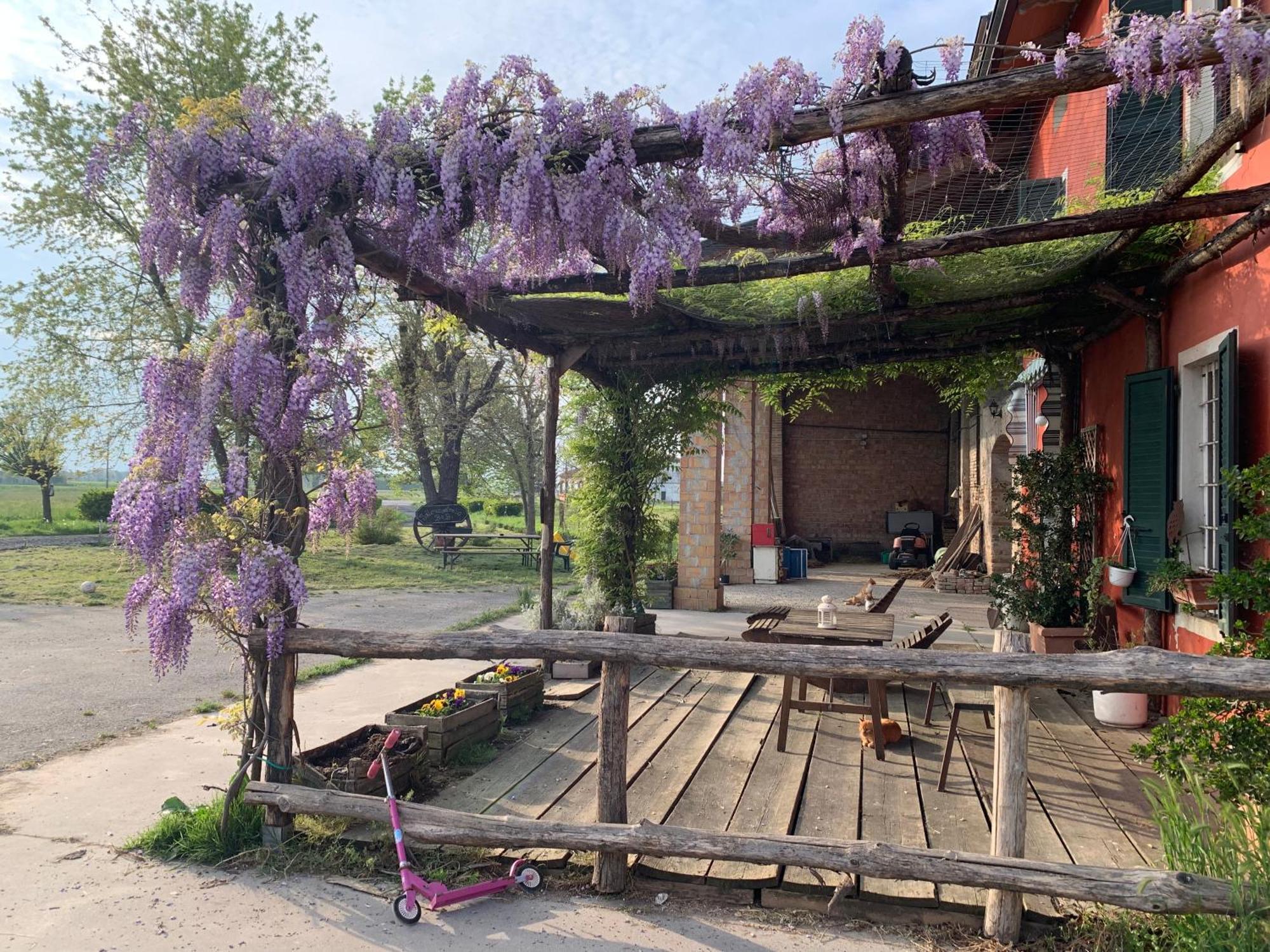 Santa Caterina  Fattoria Amelia 빌라 외부 사진