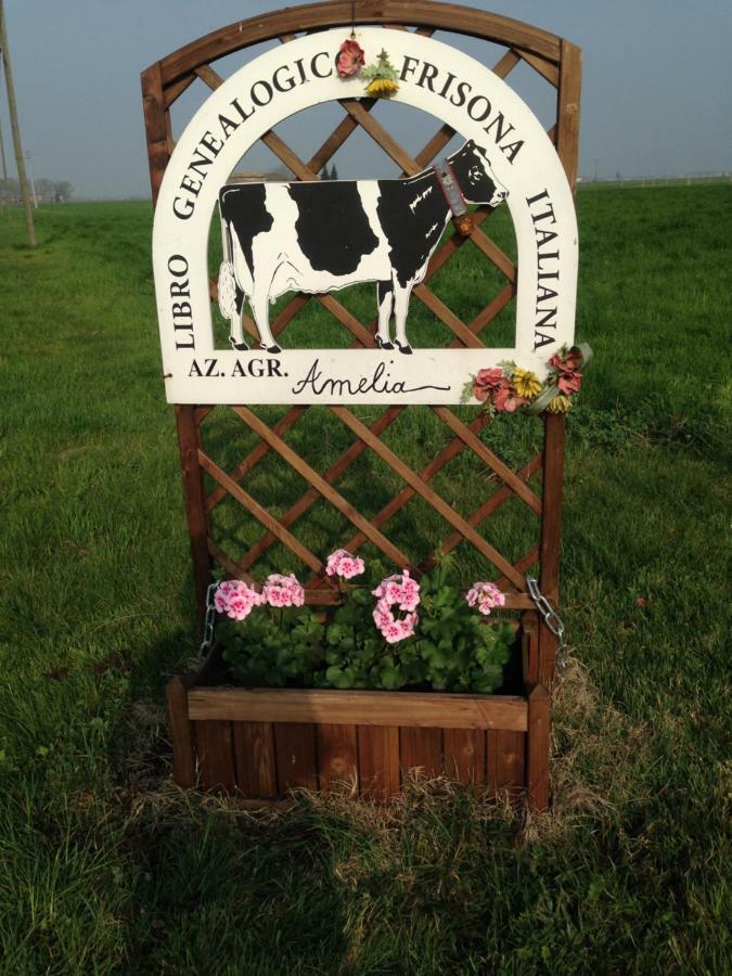 Santa Caterina  Fattoria Amelia 빌라 외부 사진